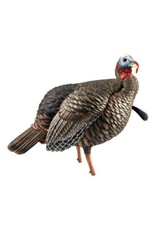 Avian-X Avian X HDR Jake Turkey Decoy AVX8105