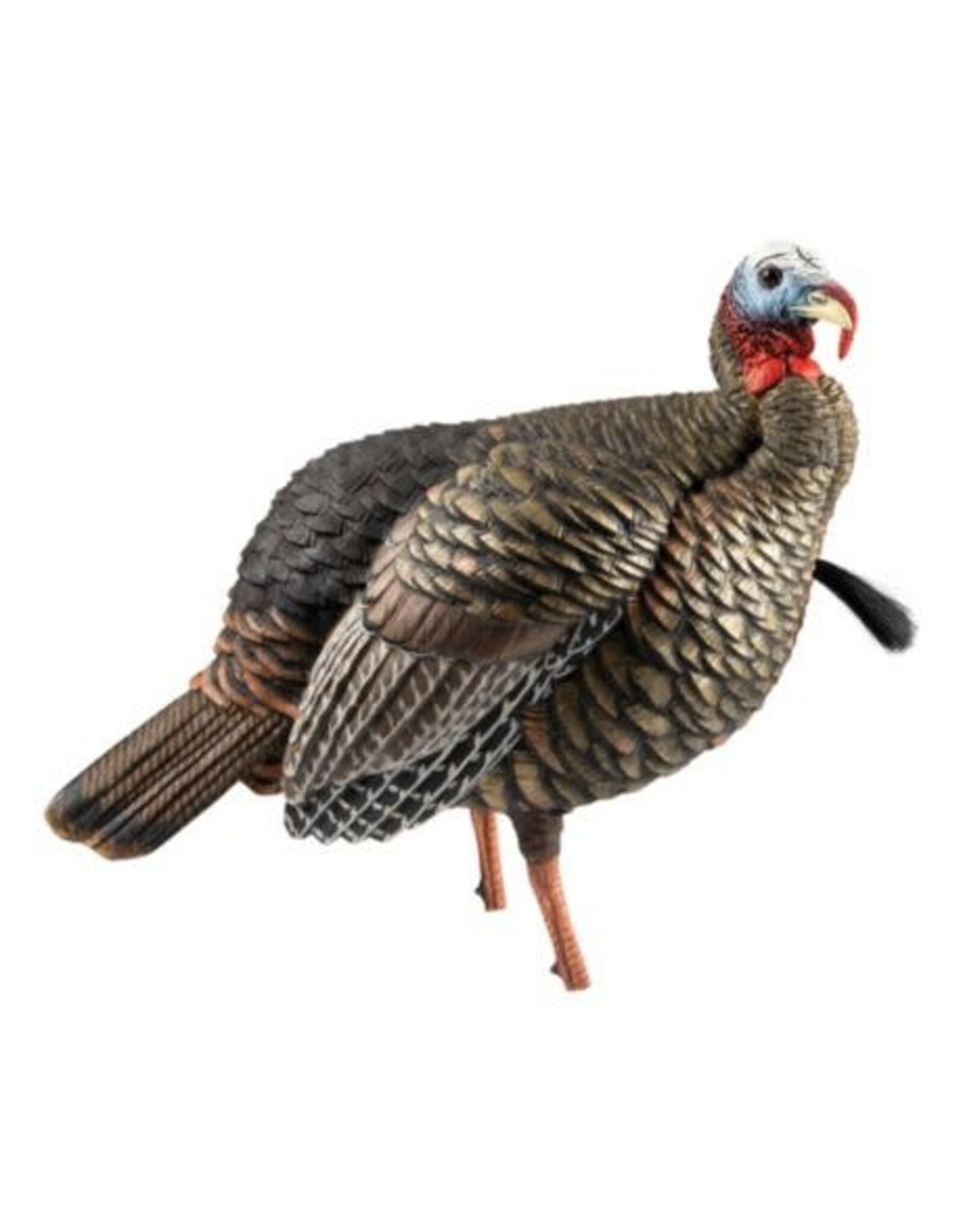 Avian-X Avian X HDR Jake Turkey Decoy AVX8105