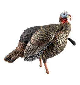 Avian-X Avian X HDR Jake Turkey Decoy AVX8105