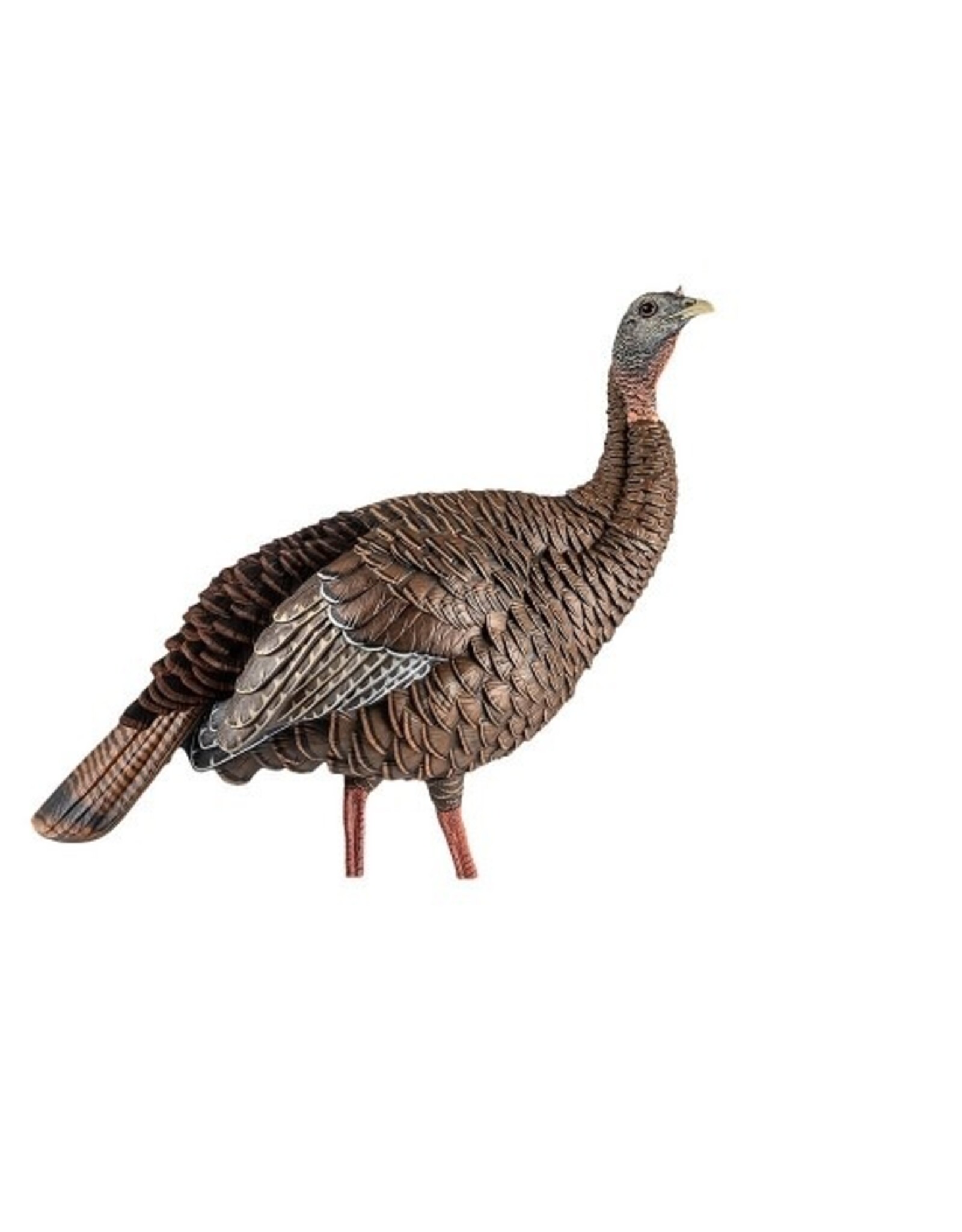 Avian-X Avian X HDR Hen Turkey Decoy AVX8106