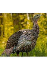 Avian-X Avian X HDR Hen Turkey Decoy AVX8106