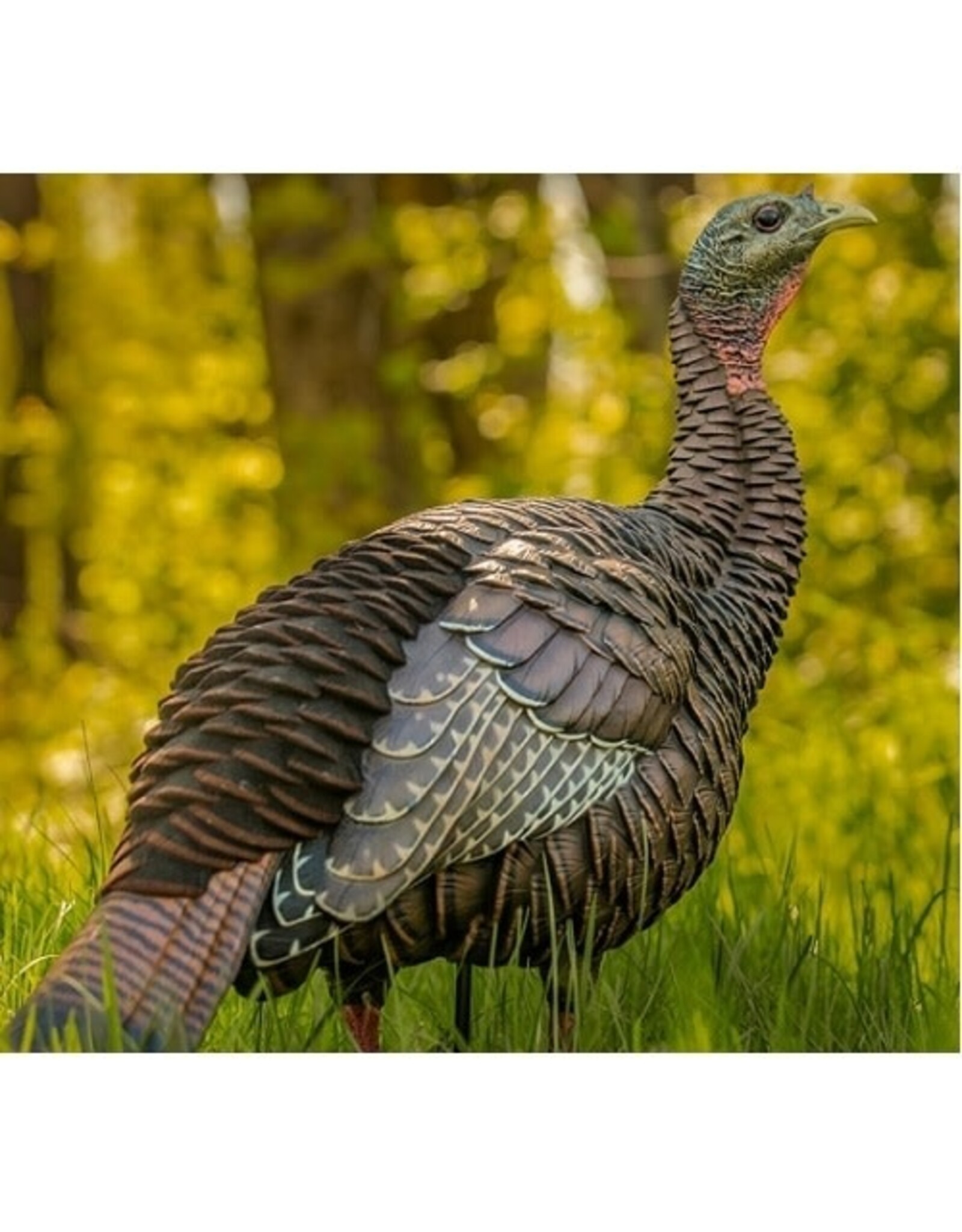 Avian-X Avian X HDR Hen Turkey Decoy AVX8106