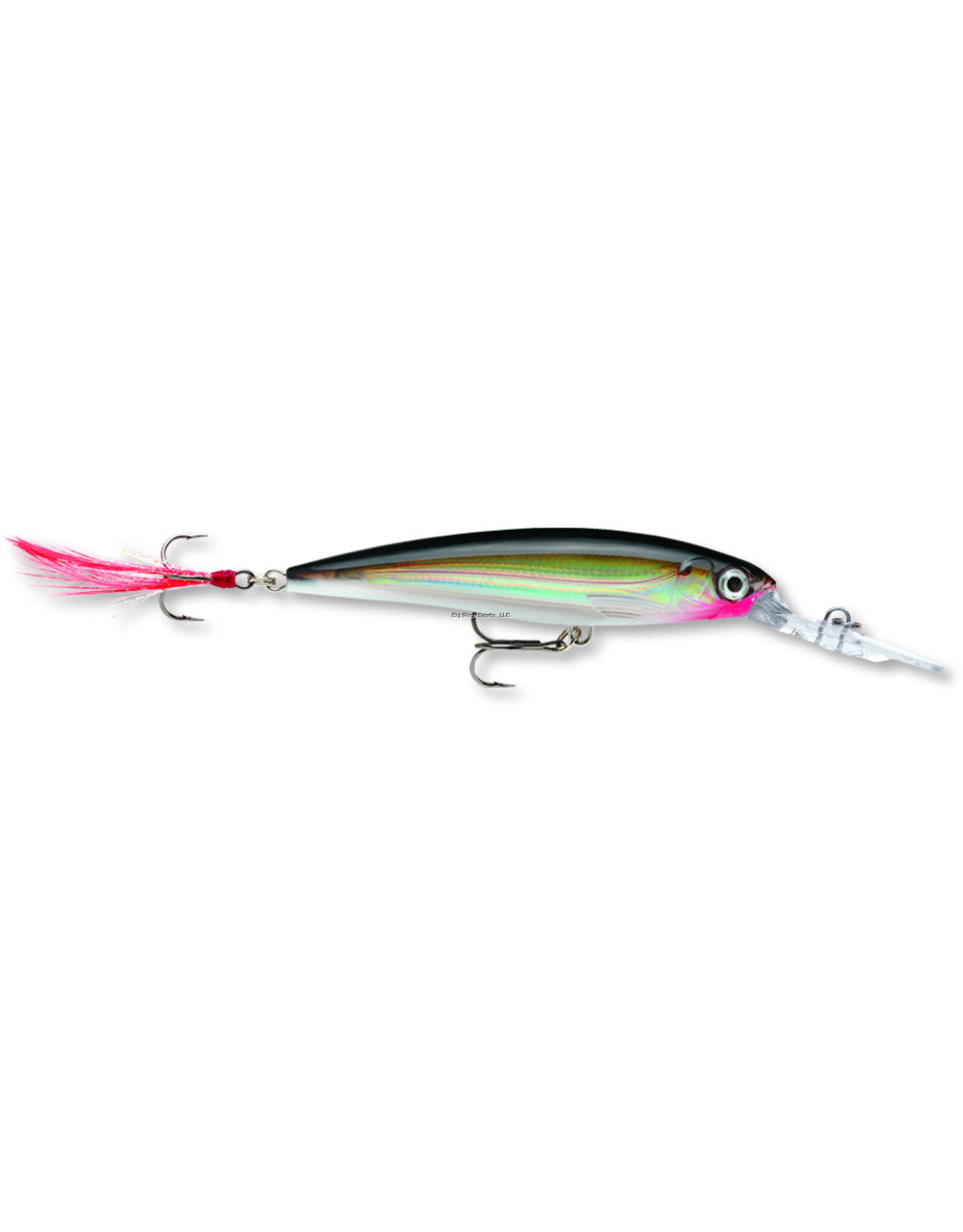 Rapala Rapala XRD08S X-Rap Deep Crankbait, 3 1/8", 1/4 oz, Silver, Suspending