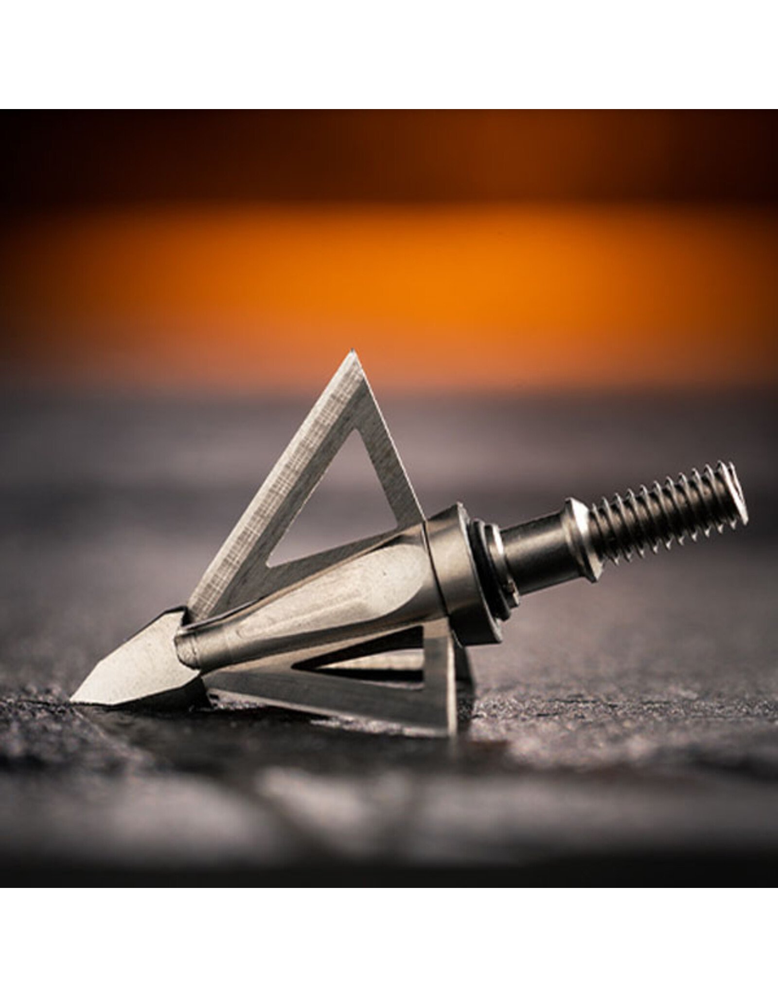 Wasp Archery Wasp Archery Broadhead Mortem 3 Blade Fixed 100 Grain 3 Pack 1 1/8″ Cut 3510*