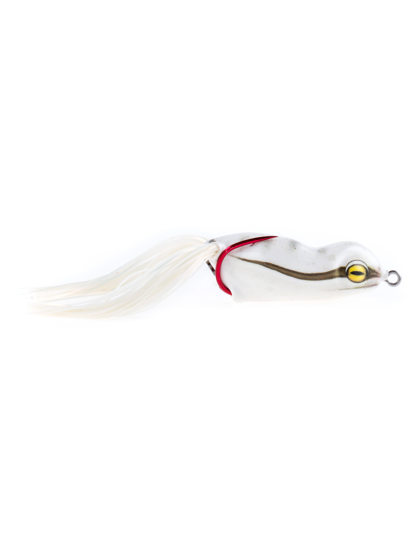 scum frog Scum Frog Launch frog ( boneyard ) 2 1/2"