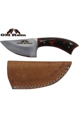 Old Ram Old Ram - Fix Blade Skinner Knife - OR-7014BLP