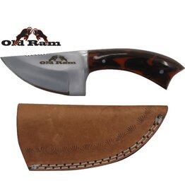 Old Ram Old Ram - Fix Blade Skinner Knife - OR-7014BLP