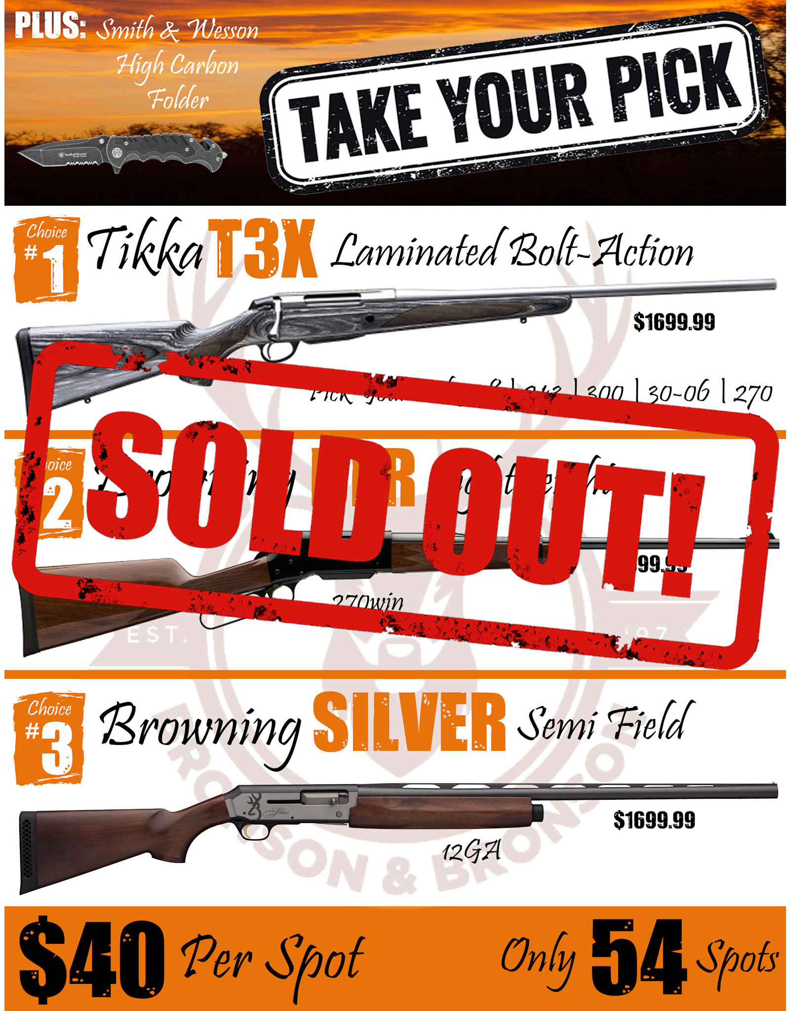 DRAW #1667 - Take Your Pick - Tikka, Browning BLR OR Browning Silver!