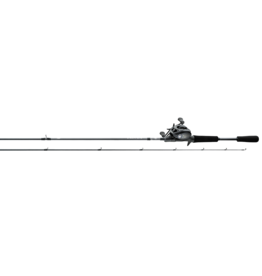 Daiwa Daiwa Tatula TWS 7'3" Medium Heavy Fast RH Baitcast Combo