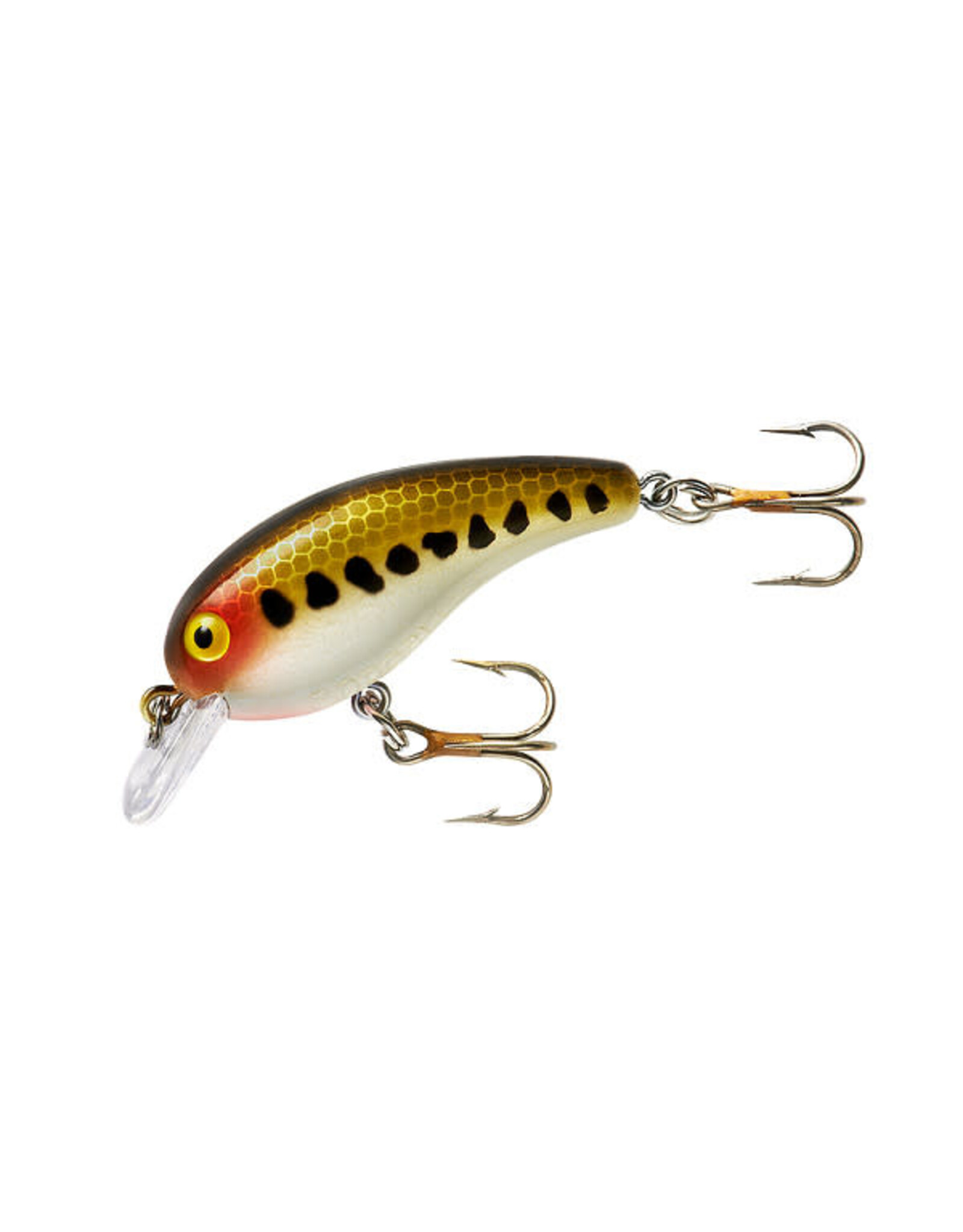 Cotton Cordell Cotton Cordell Big O Square Lip Crankbait 2 1/4" 1/3 oz