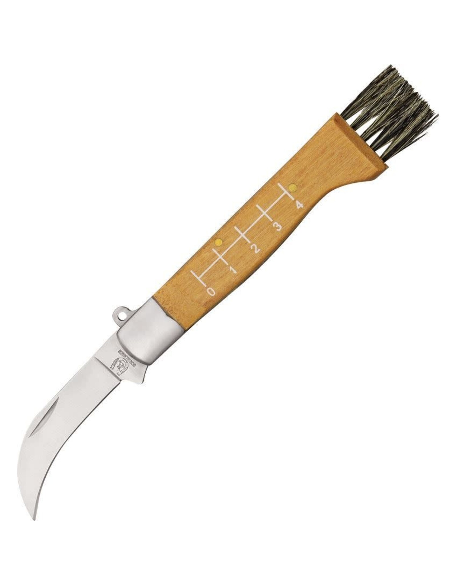 Rough Ryder Rough Rider 1400 Mushroom Hunters Knife with Hard Wood Handle and Hair Bristle Brush