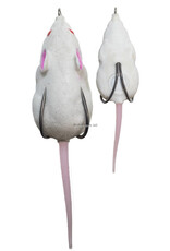 Lunkerhunt Lunkerhunt FLM103 Furenzy Mouse - White - 2 in