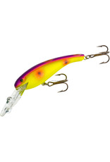 Cotton Cordell Cotton Cordell CD5583 Wally Diver, 2 1/2 in, 1/4 oz, Asteroid