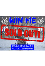 DRAW #1728 - WIN ME - Lucky Duck Motorized Pair II!