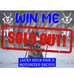 DRAW #1728 - WIN ME - Lucky Duck Motorized Pair II!