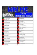 DRAW #1728 - WIN ME - Lucky Duck Motorized Pair II!