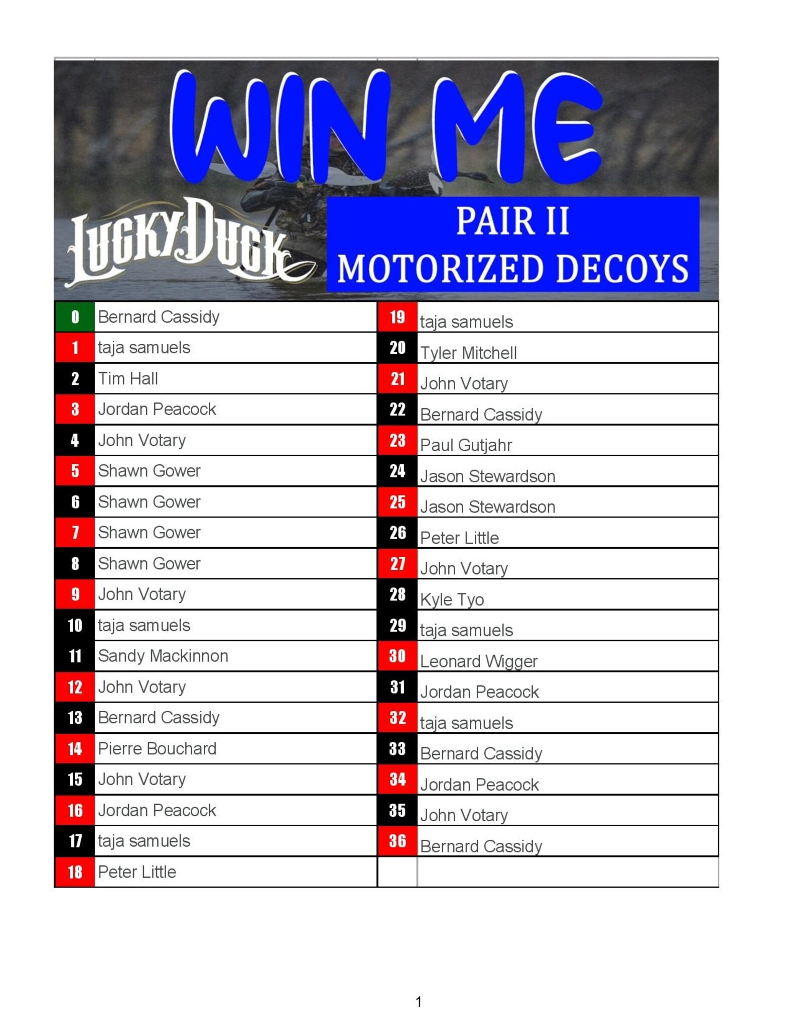 DRAW #1728 - WIN ME - Lucky Duck Motorized Pair II!