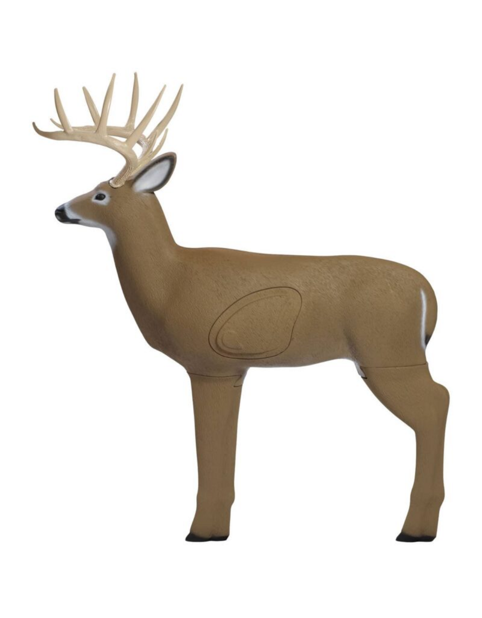 Shooter Buck 3D 48" Tall 125" P&Y