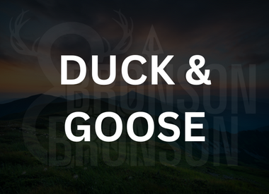 Duck & Goose