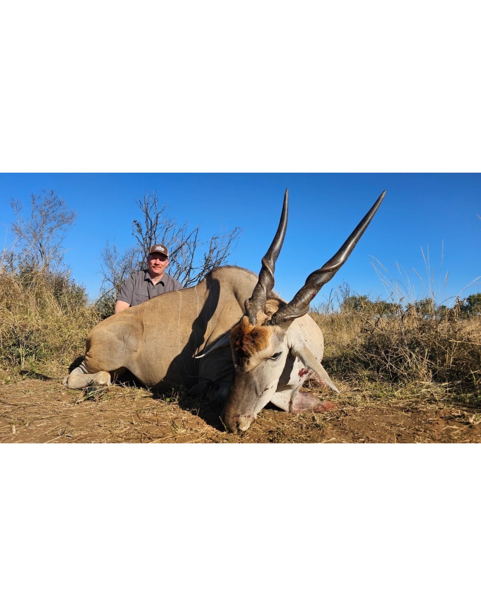 Win A Hunting Trip to Africa ROUND 2