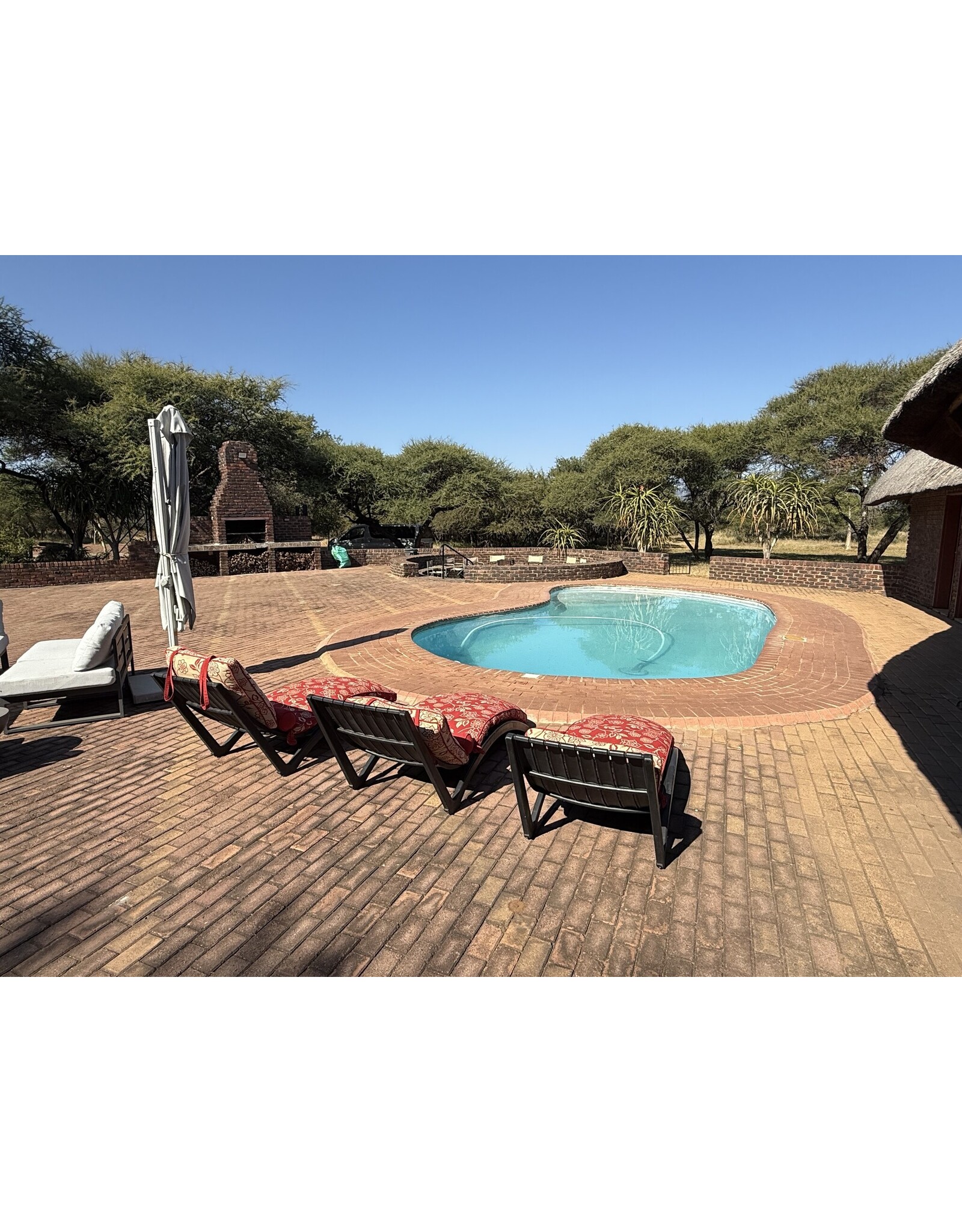 Win A Hunting Trip to Africa ROUND 2