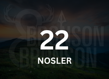 22 Nosler