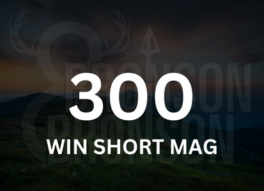 300 Win Short Mag
