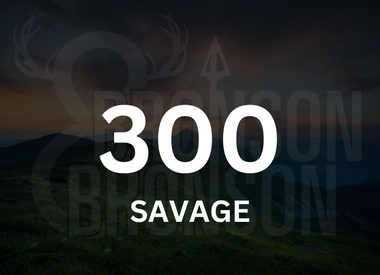 300 Savage