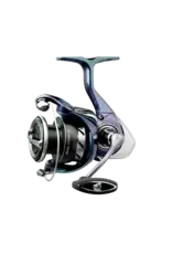 Daiwa Daiwa RGLT3000D-CXH-B Regal 3000 LT Spinning Reel, 6BB+1, 6.2:1, Boxed