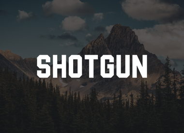 Shotgun