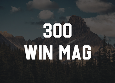 300 WIN MAG