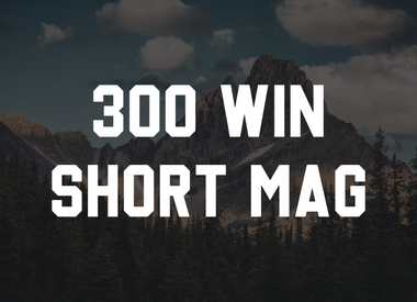 300 Win Short Mag