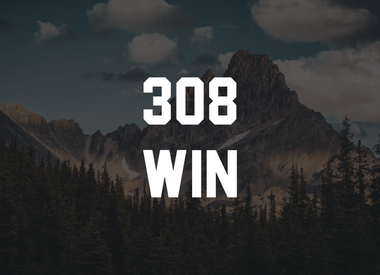 308 WIN
