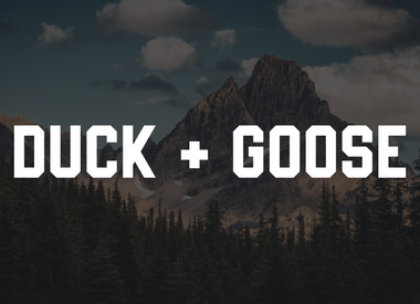 Duck & Goose