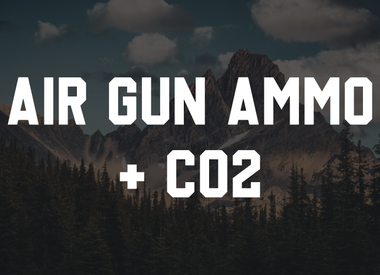 Air Gun Ammunition & CO2