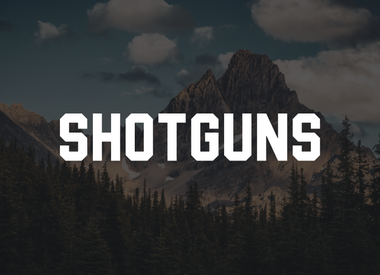 Shotguns