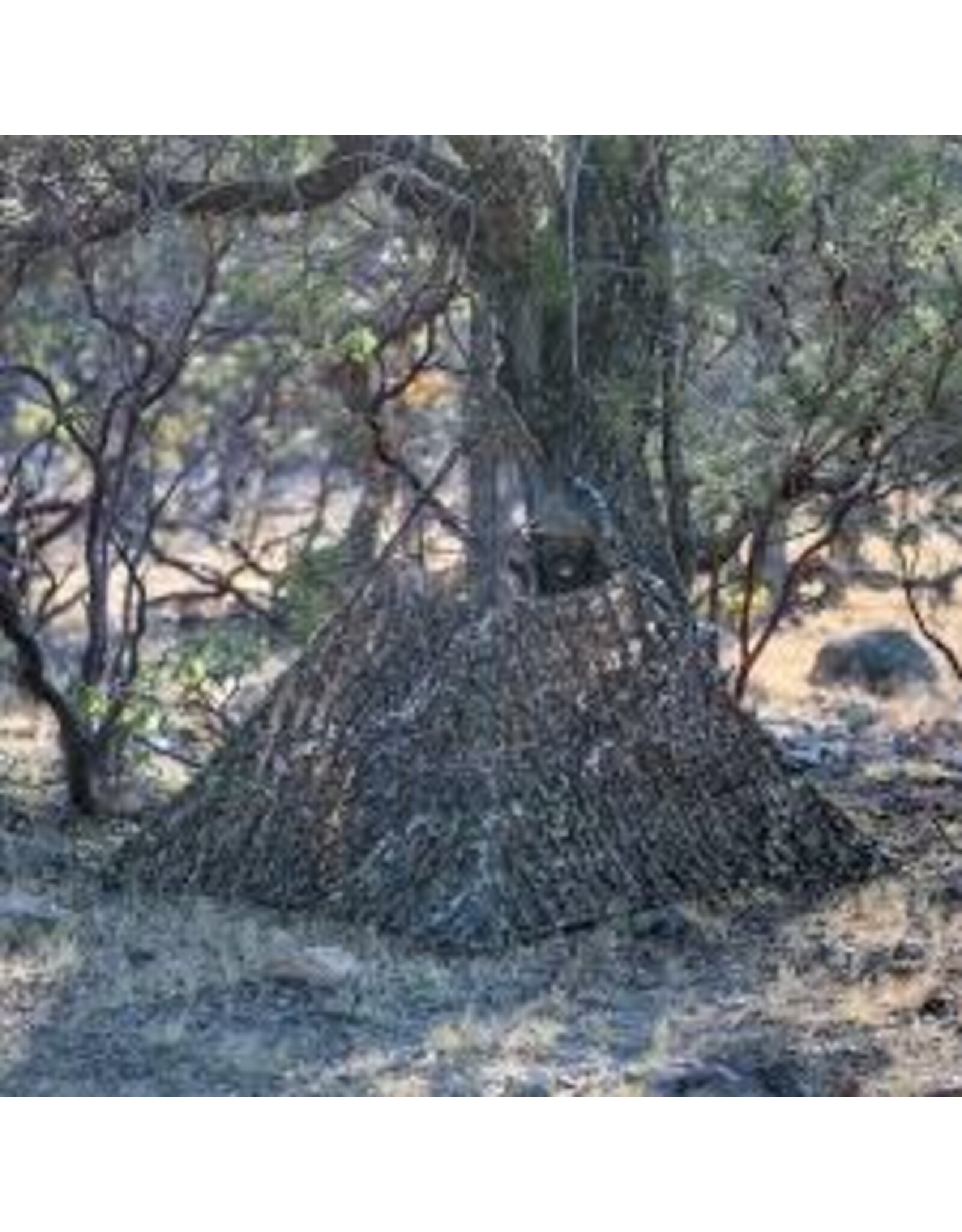 Nukem Hunting Nukem Hunting Blind- Mossy Oak Country Roots 3D Leafy