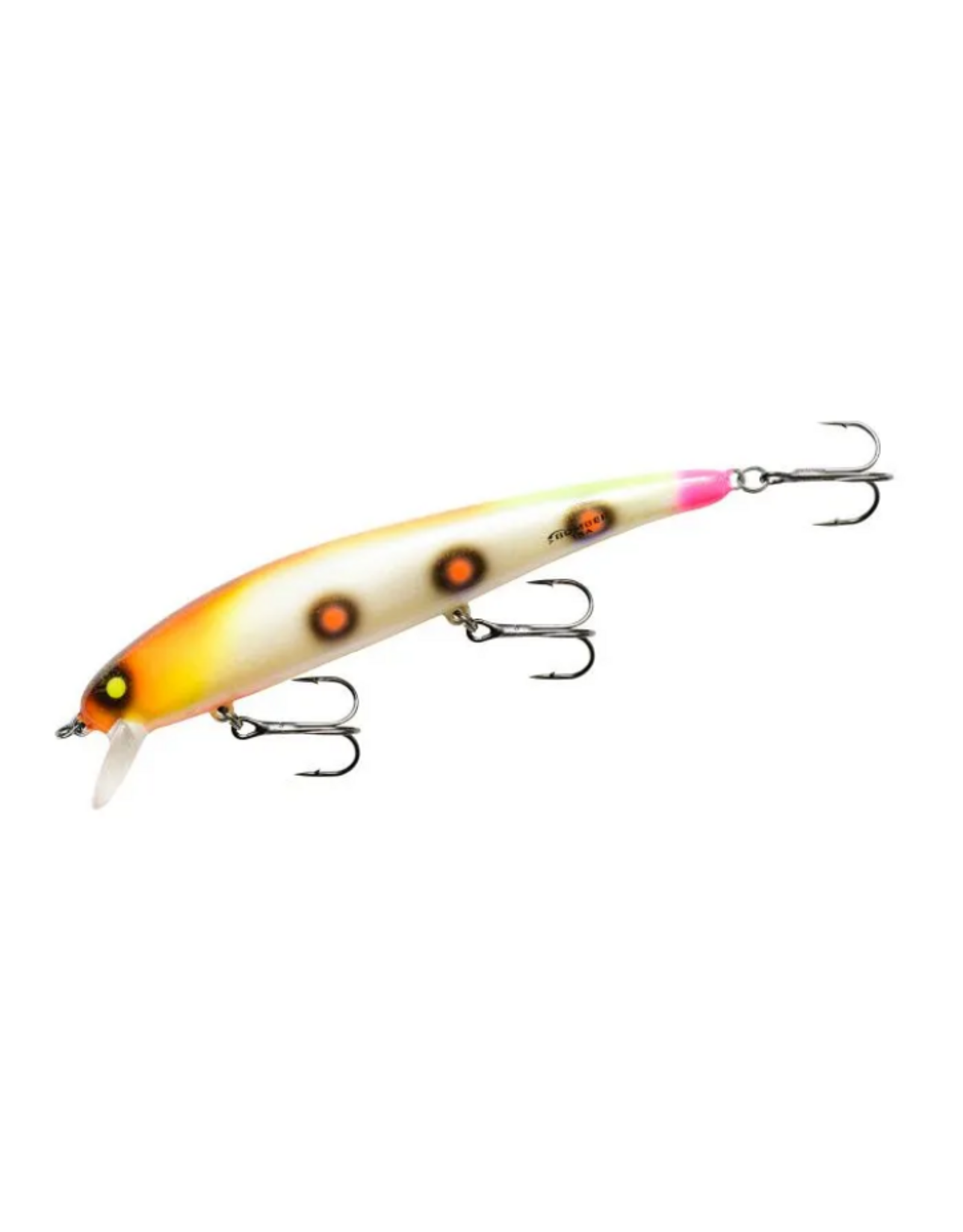 Bomber Long A- SUN SPOTS