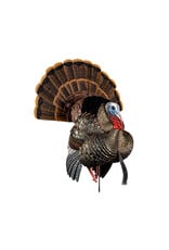 Avian-X Avian-X  8108 HDR Strutter Turkey Decoy, Full Body,  AVX8108