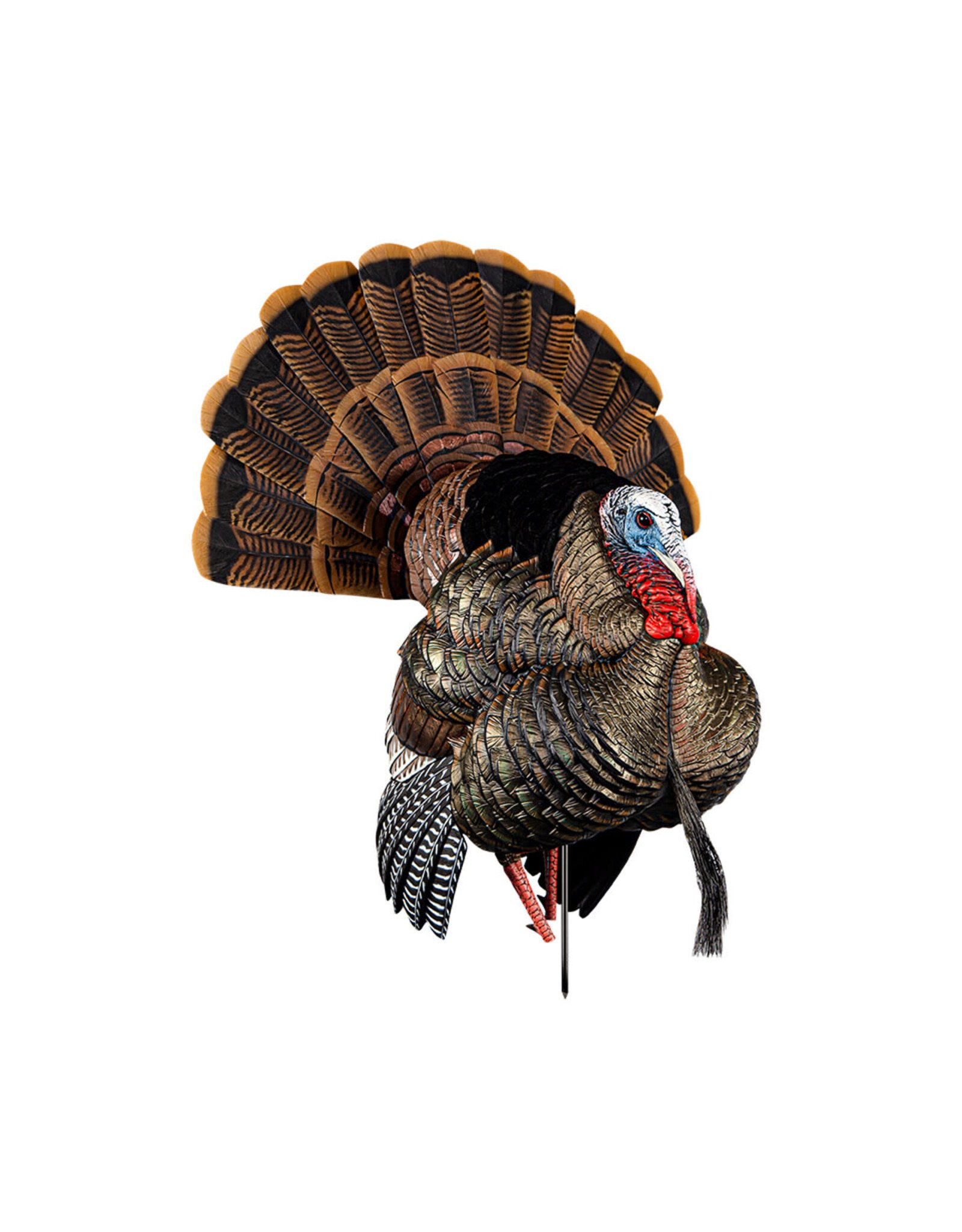 Avian-X Avian-X  8108 HDR Strutter Turkey Decoy, Full Body,  AVX8108