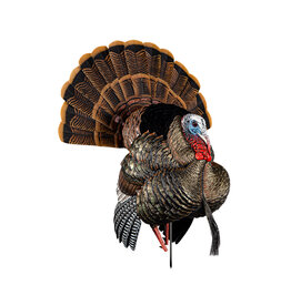 Avian-X Avian-X  8108 HDR Strutter Turkey Decoy, Full Body,  AVX8108