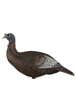 Flextone Flextone Thunder Chick Turkey Decoy, Upright Hen