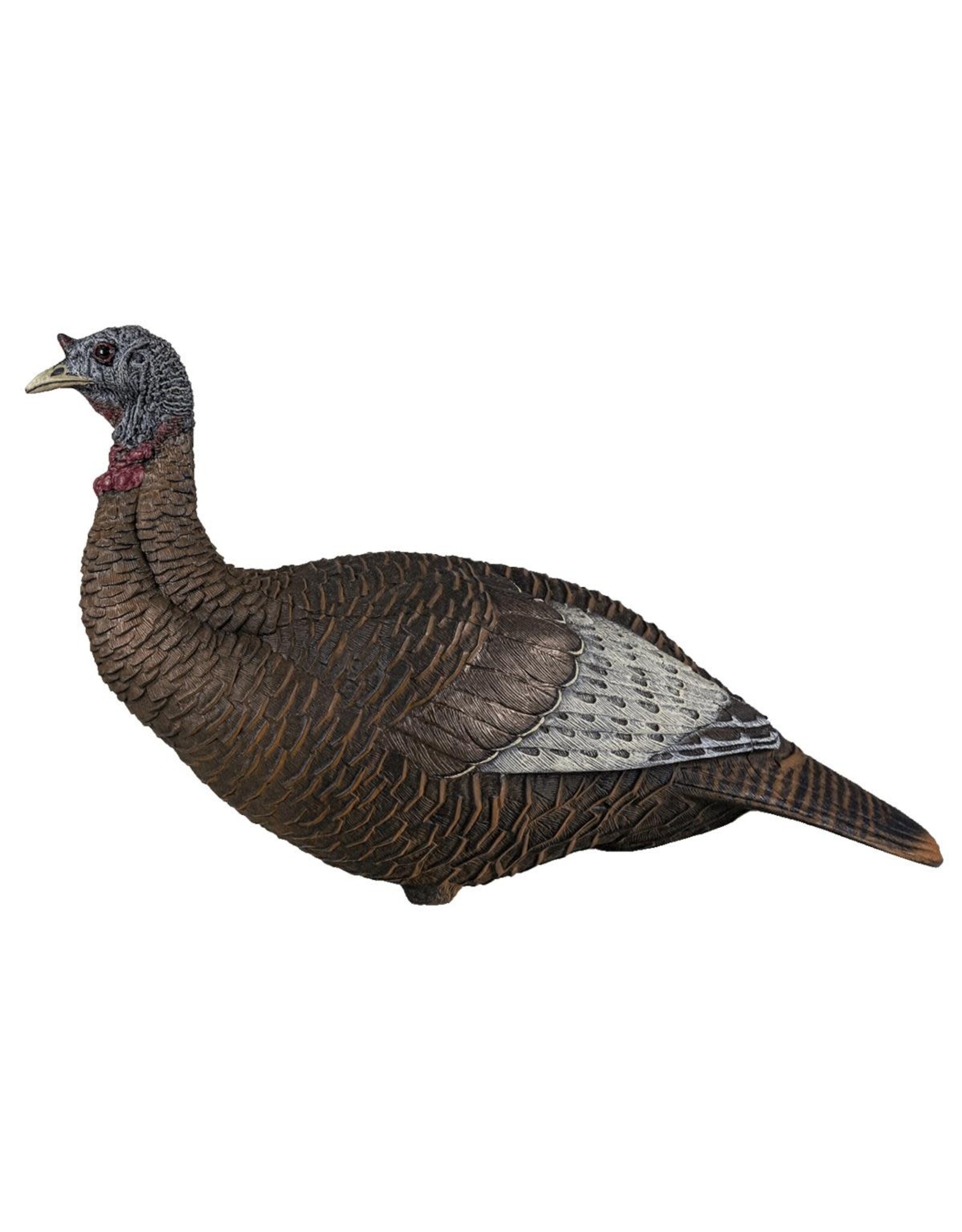 Flextone Flextone Thunder Chick Turkey Decoy, Upright Hen
