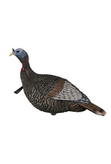 Flextone Flextone Thunder Jake 1/4 Strut Turkey Decoy