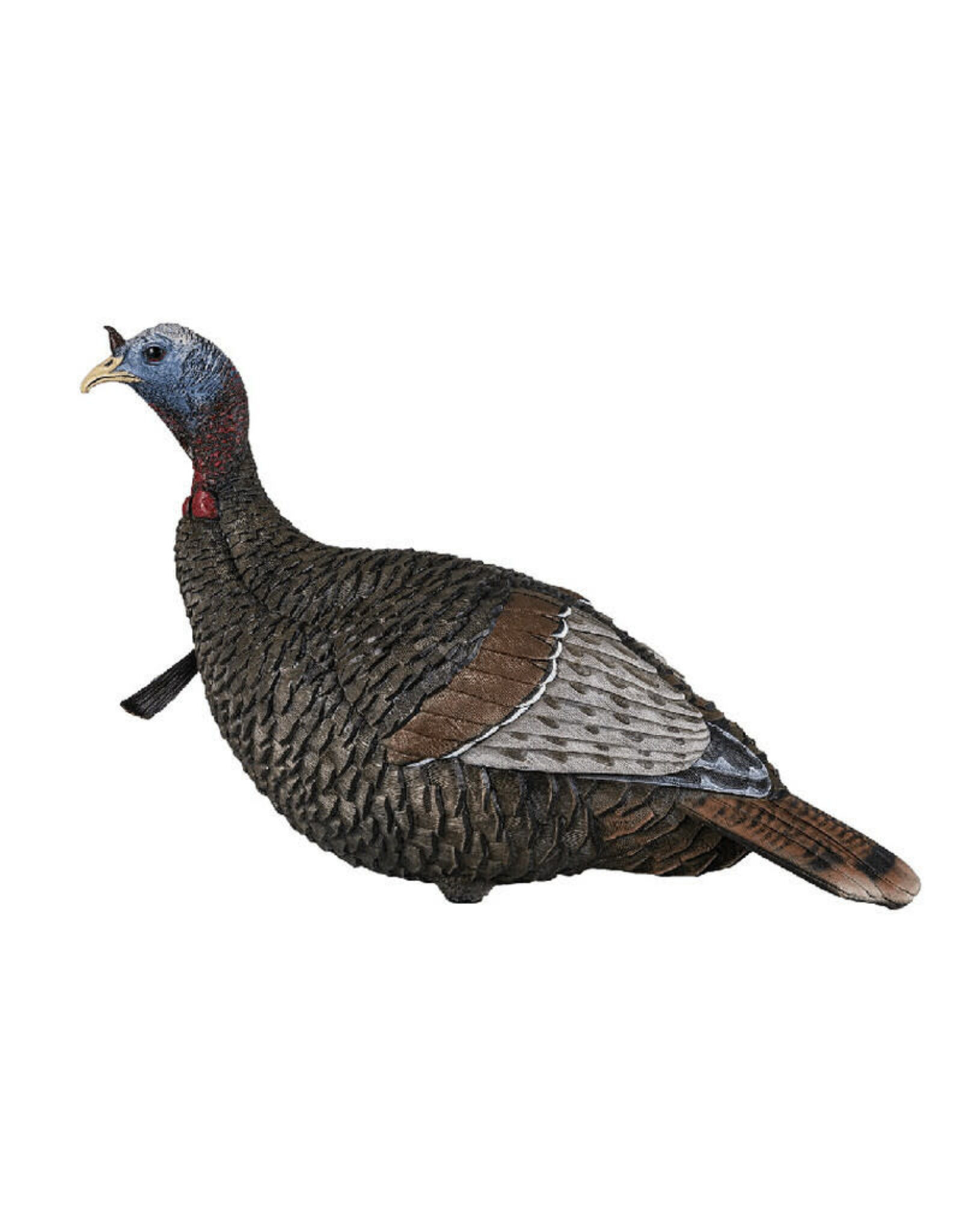 Flextone Flextone Thunder Jake 1/4 Strut Turkey Decoy