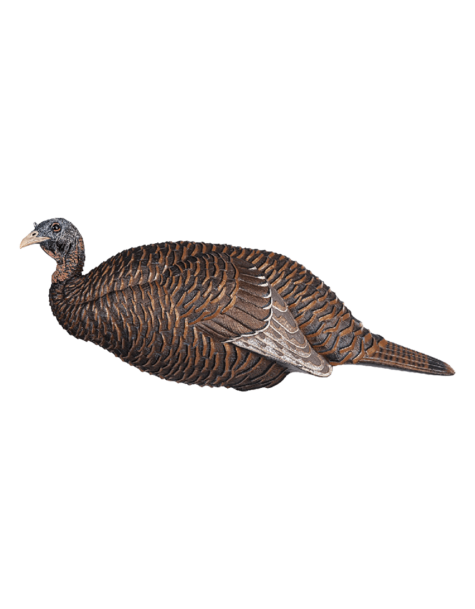 Flextone Flextone Thunder Chick™ Breeder Decoy