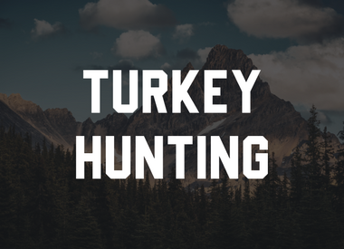 Turkey Hunting