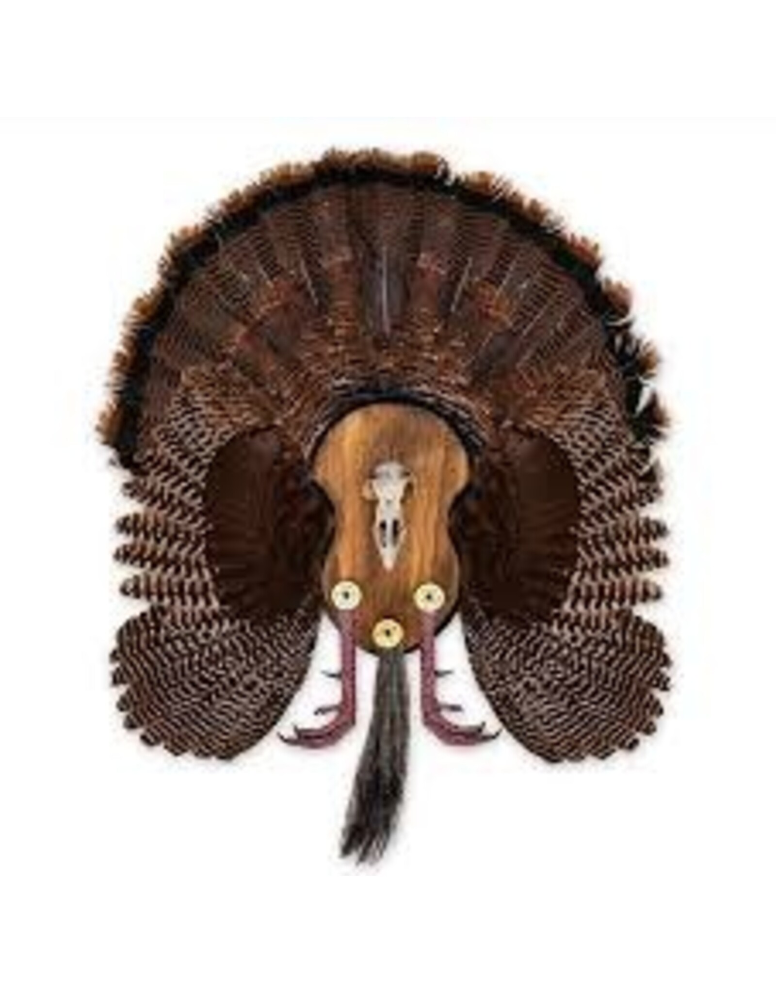 Illusion Illusion Beard Master Ultimate Turkey Plaque