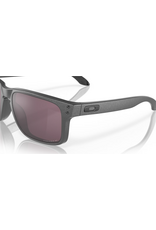 Oakley Oakley Holbrook Steel Collection Steel Frame Prizm Daily Polarized Lenses