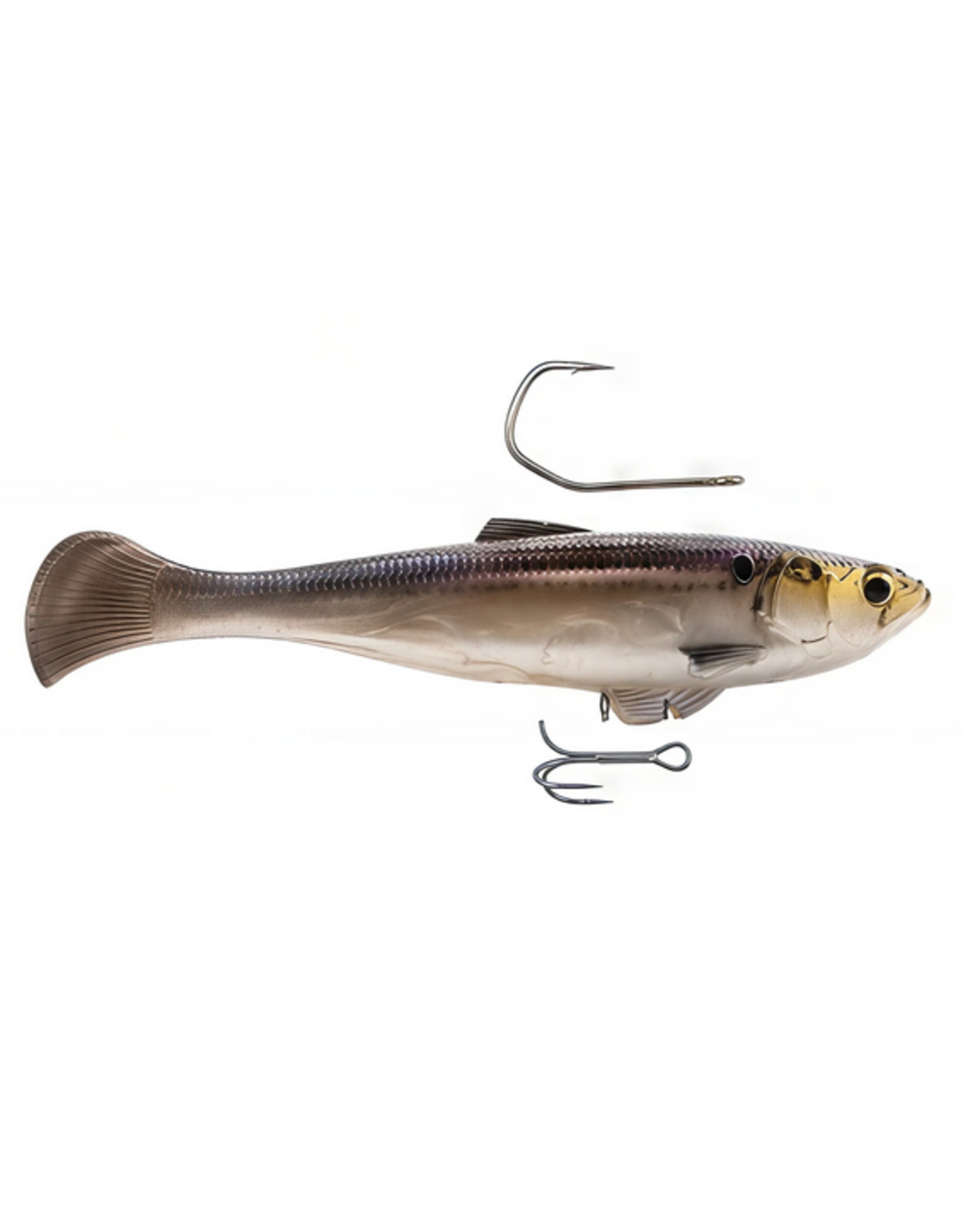 Z-Man Z-Man Swag LT 5" Gizzard Shad